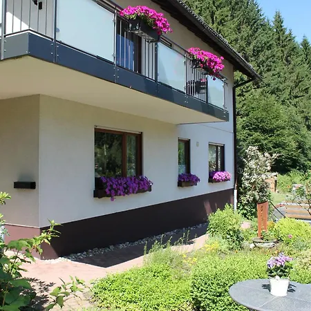 Apartament Rehsiepen Schmallenberg