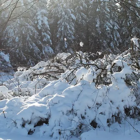 Apartman Rehsiepen *