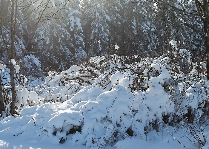 Appartement Rehsiepen *